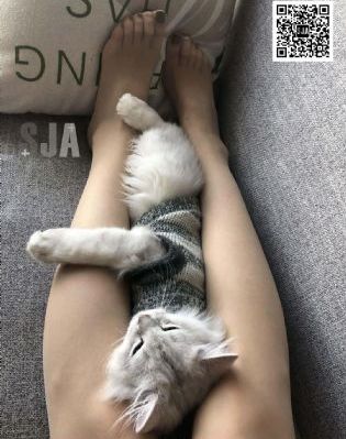乡下寡妇性要求_欧美成人在线