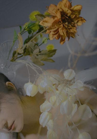 《一路向北》王李丹妮主演的电影_720手机在线看
