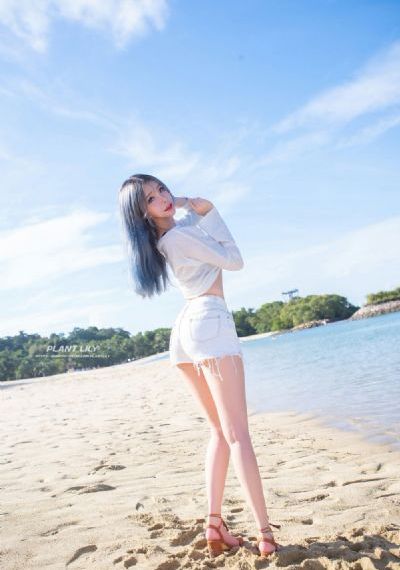 萌探探探案免费观看_1080P免费电视剧